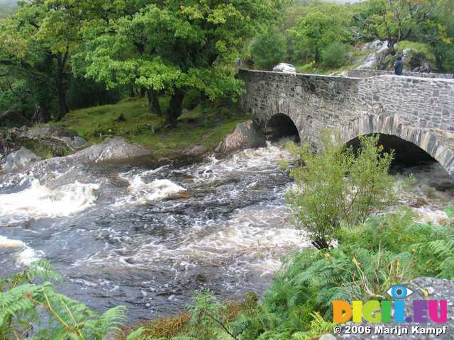 19645 Swollen river